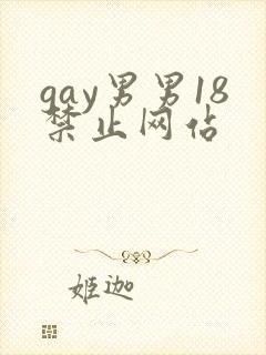 gay男男18禁止网站