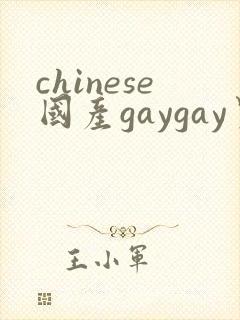 chinese国产gaygay男男网站