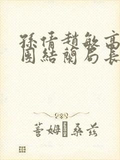 孙倩赵敏高义大团结兰局长封面