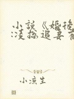 小说《婚后心动:凌总追妻有点甜》