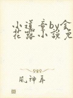 小道童by金银花露小说免费阅读笔趣阁