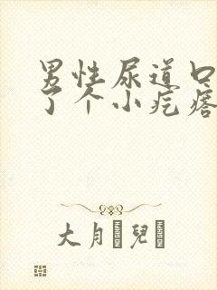 男性尿道口里长了个小疙瘩封面