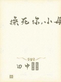 操死你,小母狗封面