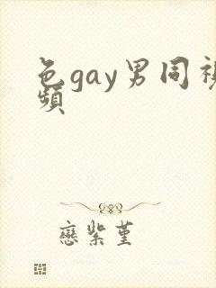 色gay男同视频封面