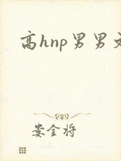 高hnp男男文