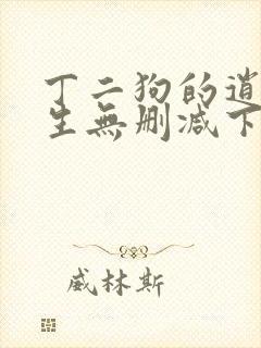 丁二狗的逍遥人生无删减下载网盘