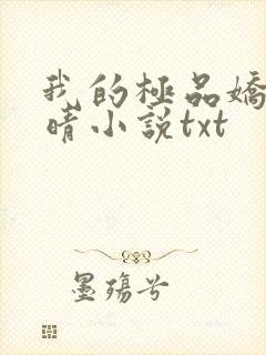 我的极品娇妻许晴小说txt