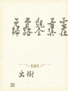 免费观看电视剧归路全集在线播放