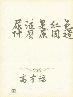 尿液是红色的是什么原因造成的