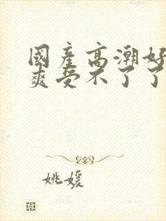 国产高潮好大好爽受不了了