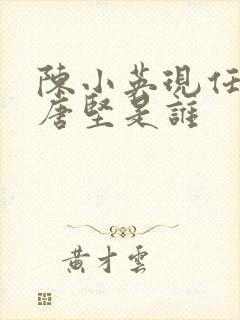 陈小英现任丈夫唐坚是谁