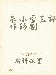 朱小雪王译磊合作的剧