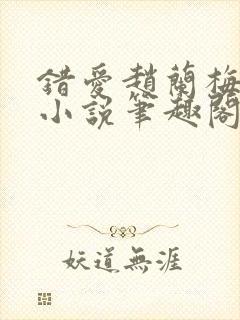 错爱赵兰梅孙明小说笔趣阁