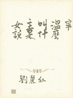 女主叫温宁的小说是什么
