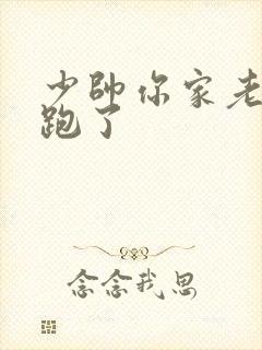 少帅你家老婆又跑了