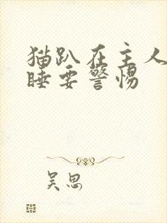 猫趴在主人胸口睡要警惕