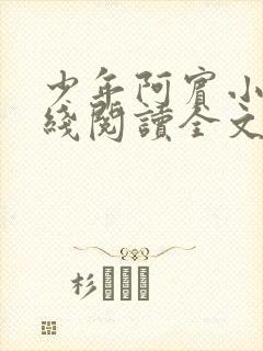 少年阿宾小说在线阅读全文无删减