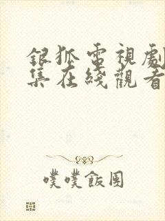 银狐电视剧30集在线观看免费观看封面