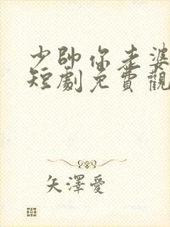 少帅你老婆跑了短剧免费观看全集