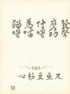 猫为什么发出咕噜咕噜的声音