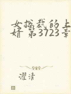 女总裁的上门女婿 第3723章