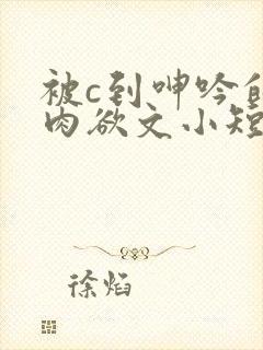 被c到呻吟的黄肉欲文小短文视频