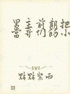 男主前期把女主当哥们的小说封面