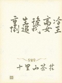 重生后高冷妻子倒追我女主