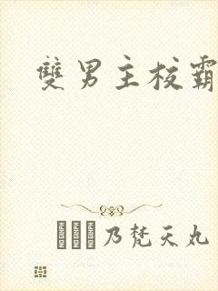 双男主校霸受封面