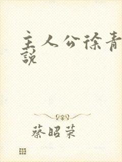主人公徐青的小说封面