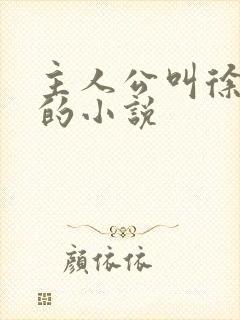 主人公叫徐文东的小说