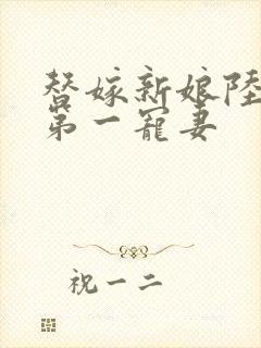 替嫁新娘陆总的第一宠妻