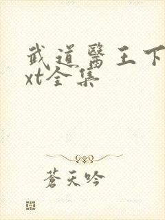 武道医王下载txt全集