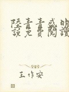 陆青青盛明曦小说免费阅读最新章节更新