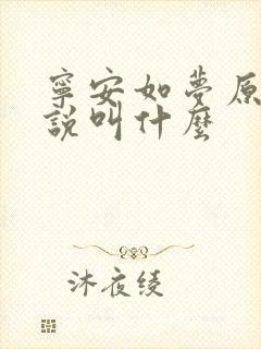 宁安如梦原著小说叫什么