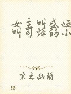 女主叫盛妩男主叫司烨的小说封面