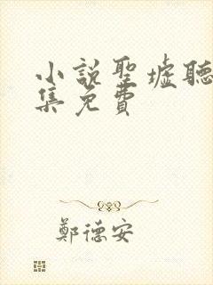 小说圣墟听书全集免费