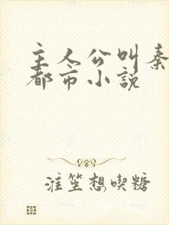 主人公叫秦昊的都市小说封面