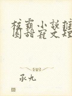 校霸小说推荐校园甜宠文短篇