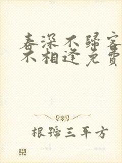 春深不归客清梦不相逢免费全文