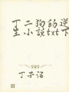 丁二狗的逆袭人生小说txt下载