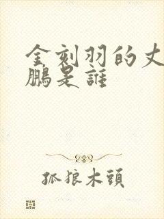 金刻羽的丈夫张鹏是谁