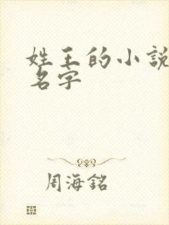 姓王的小说女主名字封面