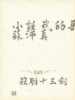 小说 我的岳母苏沛真