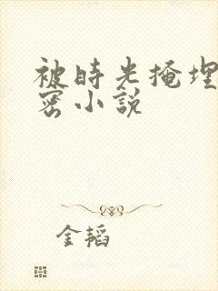 被时光掩埋的秘密小说