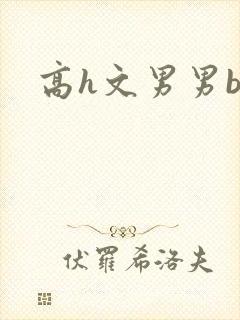 高h文男男bl