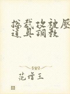 总裁攻被压成受道具调教封面