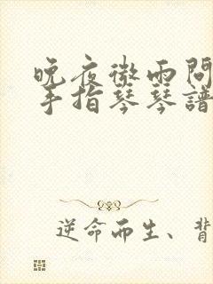 晚夜微雨问海棠手指琴琴谱