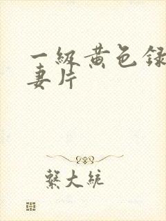 一级黄色录像夫妻片