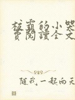 校霸的小哭包免费阅读全文